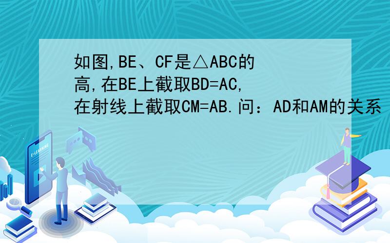 如图,BE、CF是△ABC的高,在BE上截取BD=AC,在射线上截取CM=AB.问：AD和AM的关系