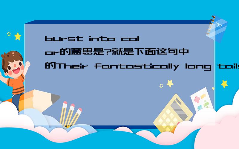 burst into color的意思是?就是下面这句中的Their fantastically long tails danced behind like bridal trains and burst into color when they caught the sun`s final rays.整句的意思也不明白, 请高人解释一下, 谢谢先.