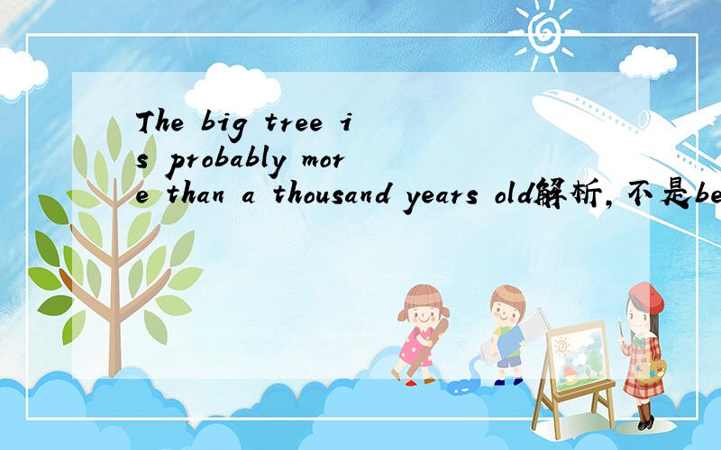 The big tree is probably more than a thousand years old解析,不是be 加形容词应用probable