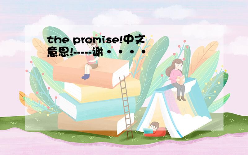 the promise!中文意思!-----谢····
