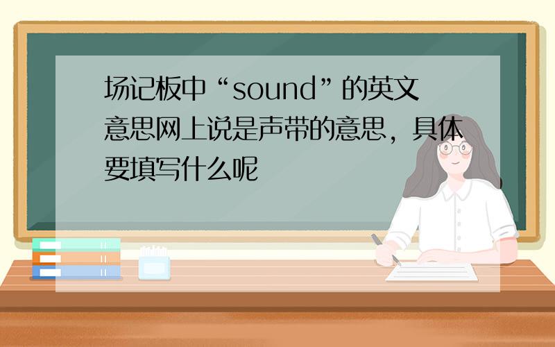 场记板中“sound”的英文意思网上说是声带的意思，具体要填写什么呢
