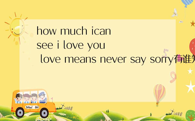 how much ican see i love you love means never say sorry有谁知道啊?