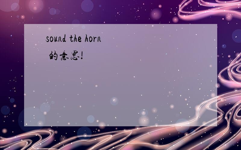 sound the horn 的意思!