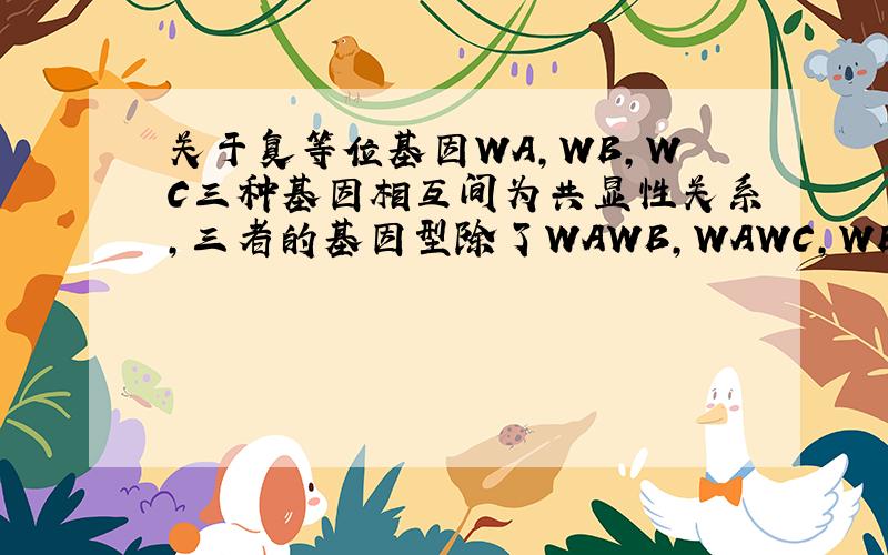 关于复等位基因WA,WB,WC三种基因相互间为共显性关系,三者的基因型除了WAWB,WAWC,WBWC包括WAWA,WBWB,WCWC,