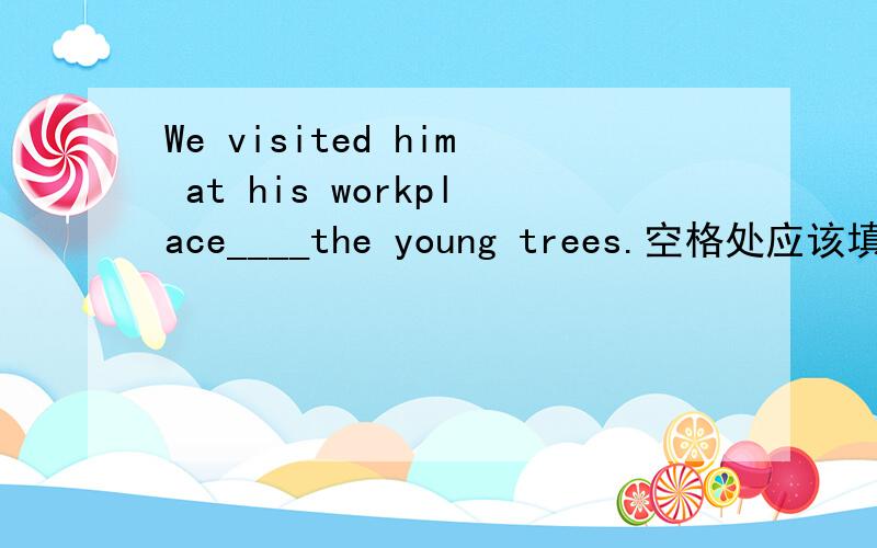 We visited him at his workplace____the young trees.空格处应该填什么?A、beside B、along C、among D、betweenps:谢啦谢啦……