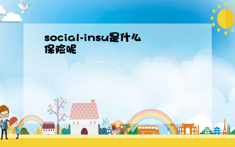 social-insu是什么保险呢