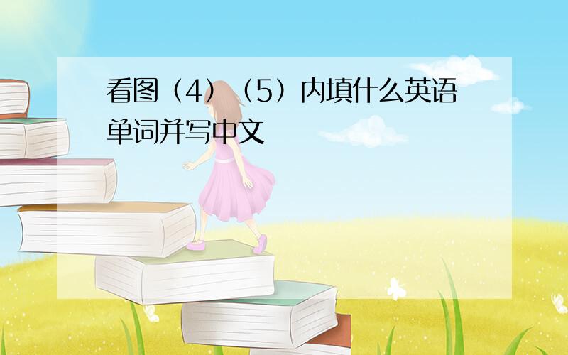 看图（4）（5）内填什么英语单词并写中文