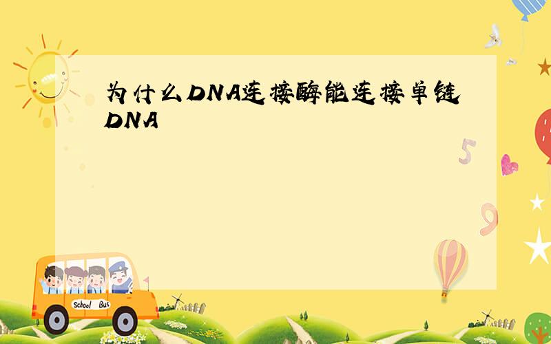 为什么DNA连接酶能连接单链DNA