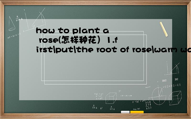 how to plant a rose(怎样种花）1.first\put\the root of rose\warm water\24 hours2.then\dig\hole\as deep as the root3.next\put\rose\gently\in the hole4.after that\put\loose\soil\into the hole5.and then\press down hard\the soil\with\hand6.at last\wa