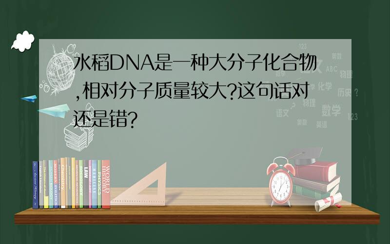 水稻DNA是一种大分子化合物,相对分子质量较大?这句话对还是错?