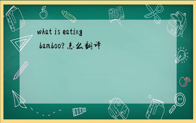 what is eating bamboo?怎么翻译