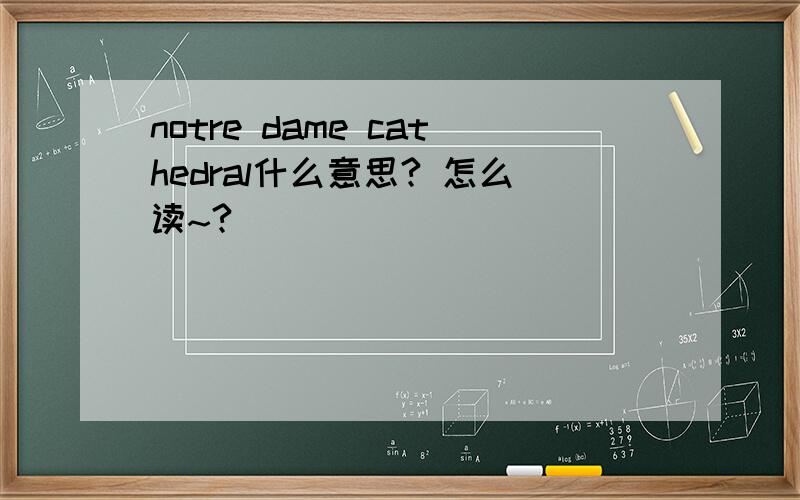 notre dame cathedral什么意思? 怎么读~?