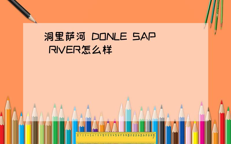 洞里萨河 DONLE SAP RIVER怎么样