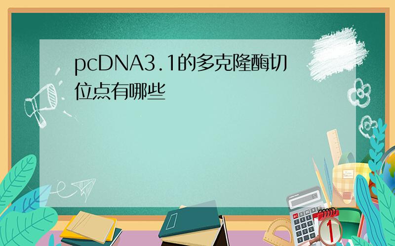 pcDNA3.1的多克隆酶切位点有哪些