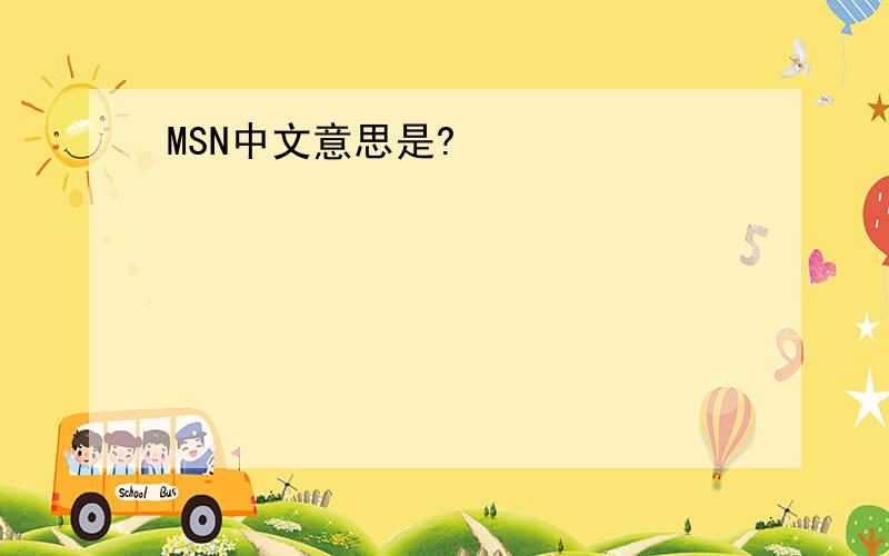 MSN中文意思是?