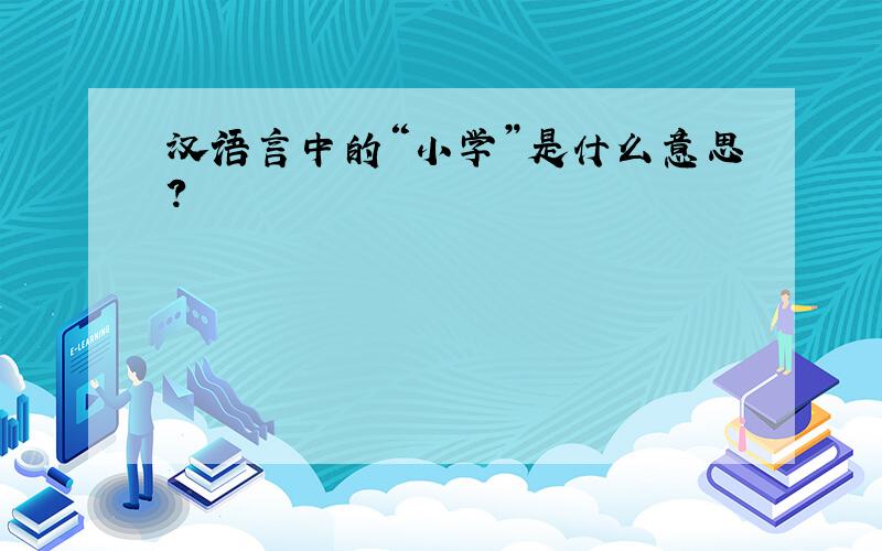 汉语言中的“小学”是什么意思?