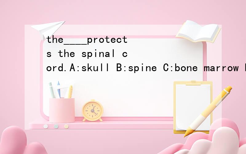 the____protects the spinal cord.A:skull B:spine C:bone marrow D:joints