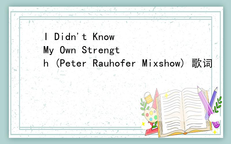 I Didn't Know My Own Strength (Peter Rauhofer Mixshow) 歌词