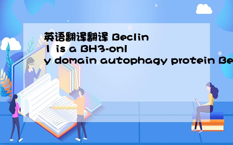 英语翻译翻译 Beclin 1 is a BH3-only domain autophagy protein Beclin 1 is a novel Bcl-2-homology (BH)-3 domain only protein.