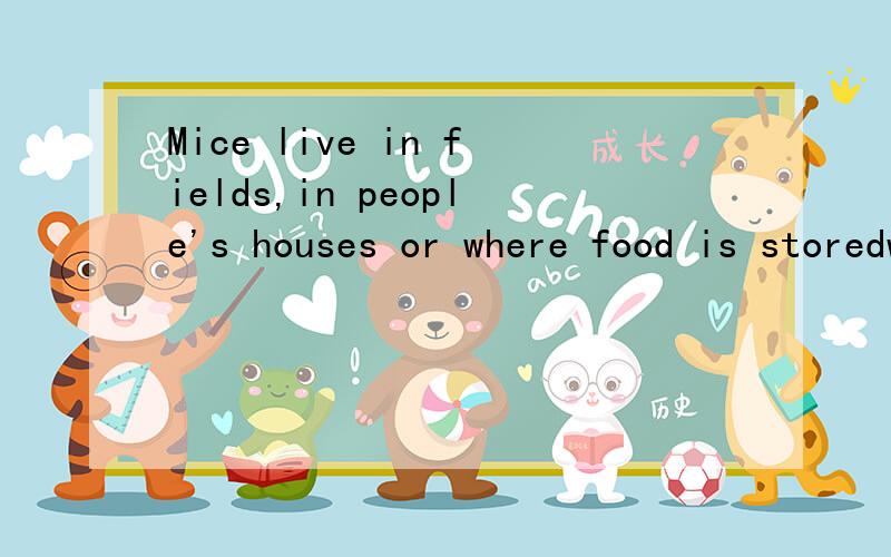 Mice live in fields,in people's houses or where food is storedwhere food is stored是宾语从句,那么谓语是live ｛in｝吗有没有in为什么
