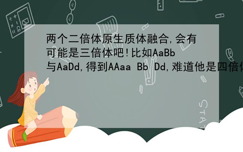 两个二倍体原生质体融合,会有可能是三倍体吧!比如AaBb与AaDd,得到AAaa Bb Dd,难道他是四倍体么?