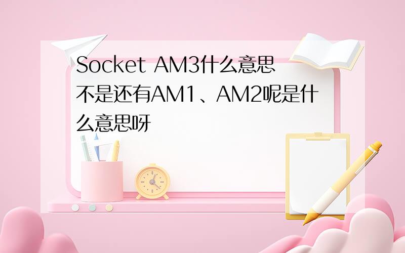 Socket AM3什么意思不是还有AM1、AM2呢是什么意思呀