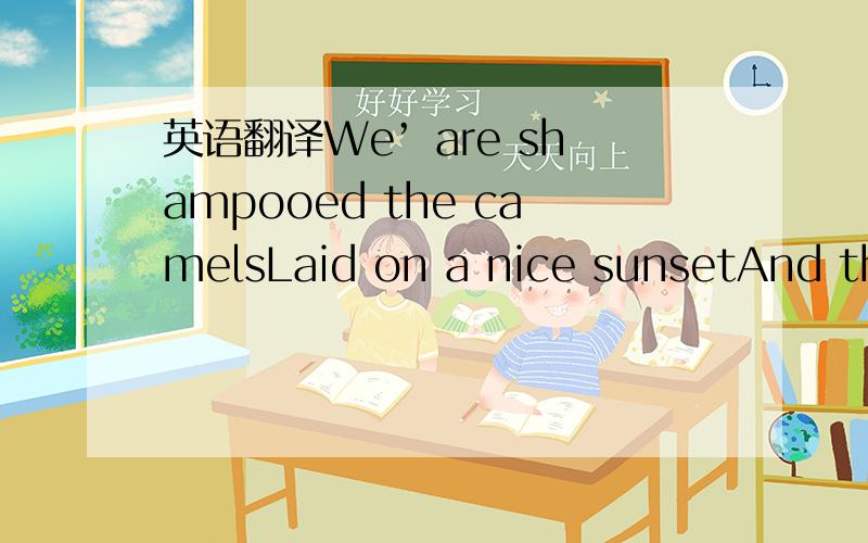 英语翻译We’ are shampooed the camelsLaid on a nice sunsetAnd the bear is waiting at the other end So where the bolldy hell are you!