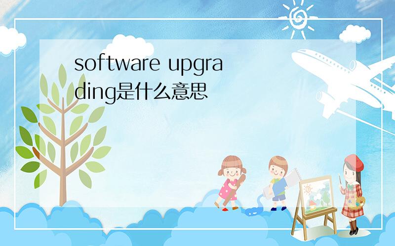 software upgrading是什么意思
