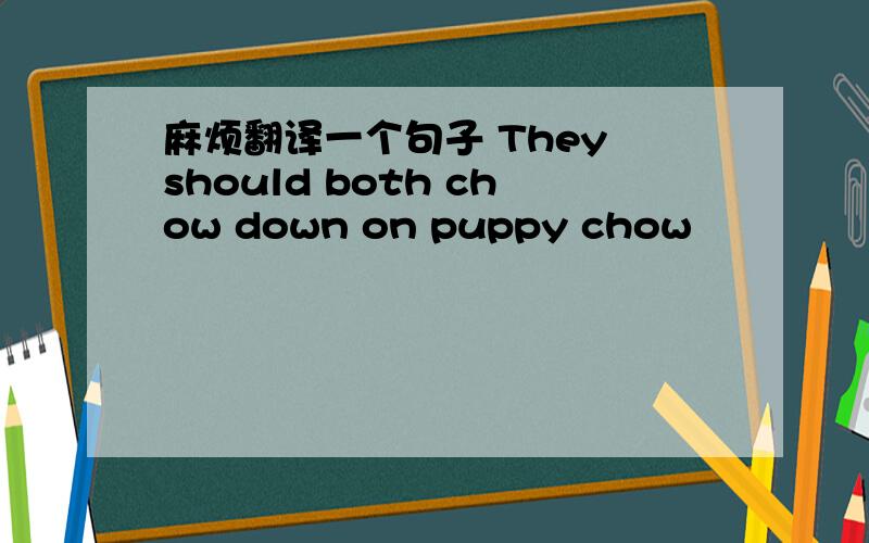 麻烦翻译一个句子 They should both chow down on puppy chow