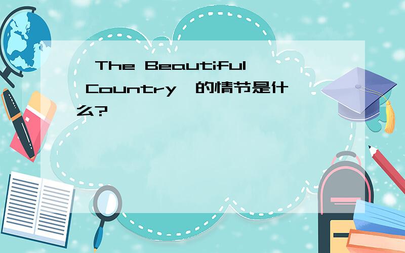 《The Beautiful Country》的情节是什么?