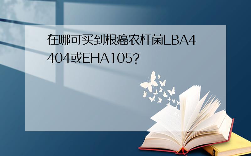 在哪可买到根癌农杆菌LBA4404或EHA105?