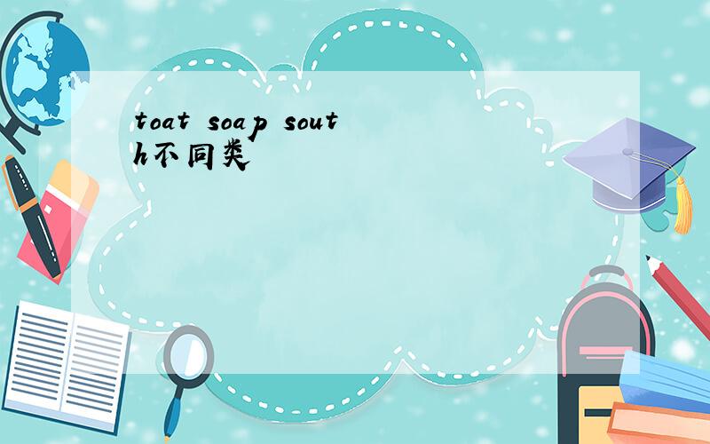 toat soap south不同类