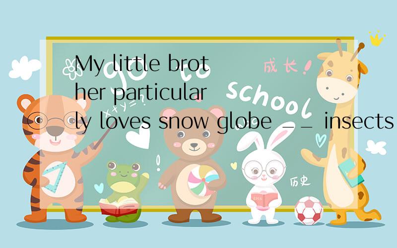My little brother particularly loves snow globe __ insects __them.