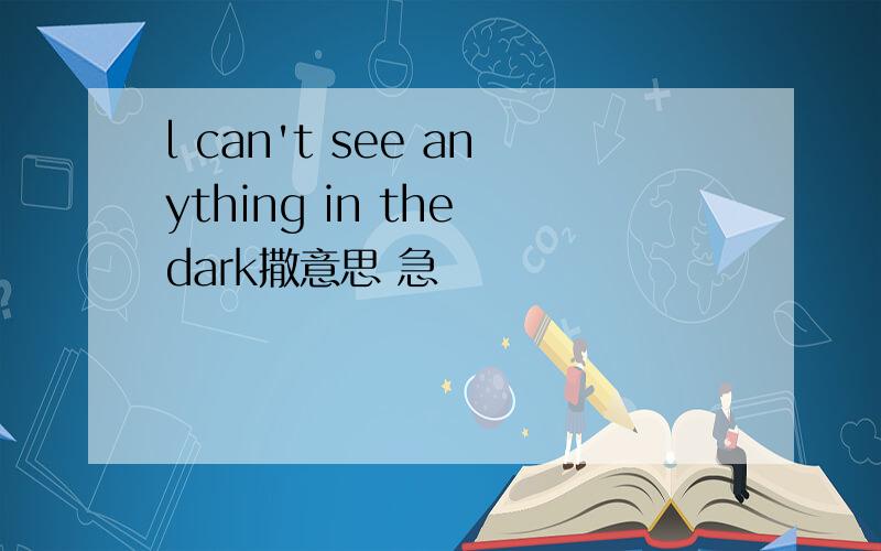 l can't see anything in the dark撒意思 急