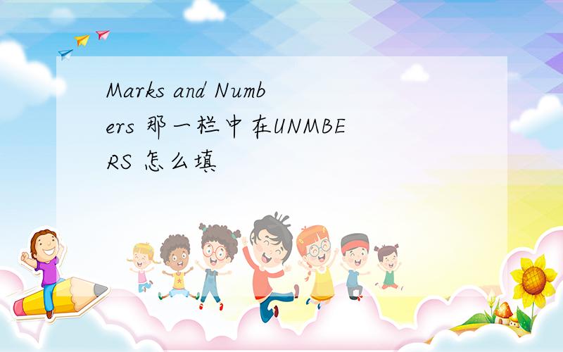 Marks and Numbers 那一栏中在UNMBERS 怎么填