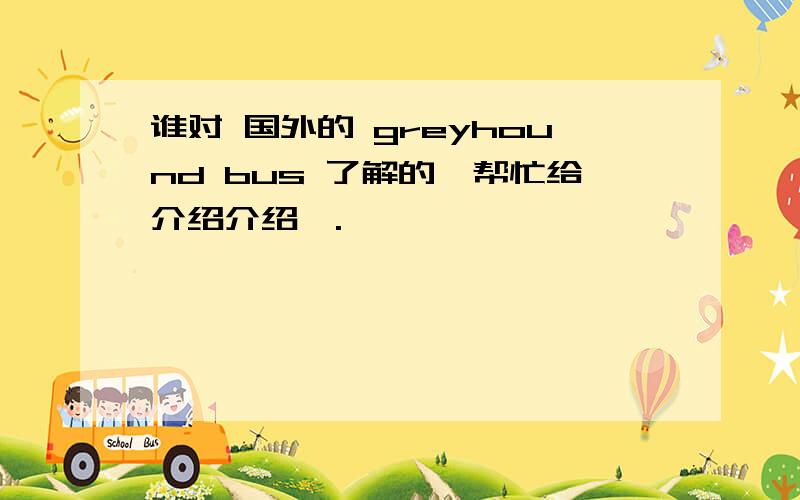 谁对 国外的 greyhound bus 了解的,帮忙给介绍介绍呗.