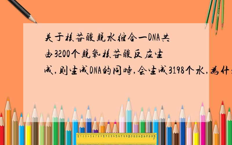 关于核苷酸脱水缩合一DNA共由3200个脱氧核苷酸反应生成,则生成DNA的同时,会生成3198个水,为什么呢?不应该是3199个吗?