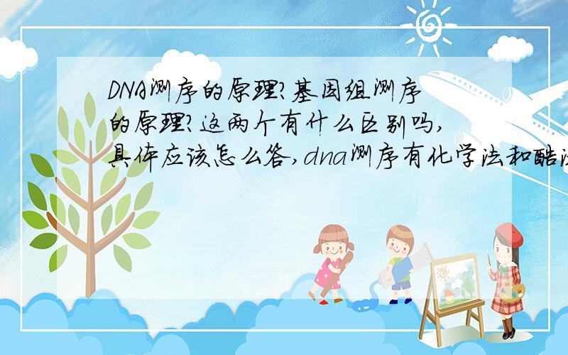 DNA测序的原理?基因组测序的原理?这两个有什么区别吗,具体应该怎么答,dna测序有化学法和酶法两种,一般是指哪一种啊?