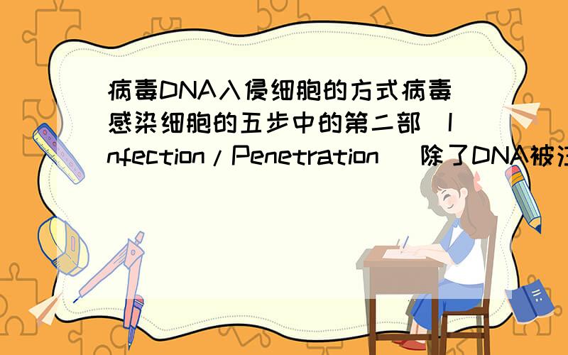 病毒DNA入侵细胞的方式病毒感染细胞的五步中的第二部（Infection/Penetration) 除了DNA被注入细胞还有其他感染方法么?