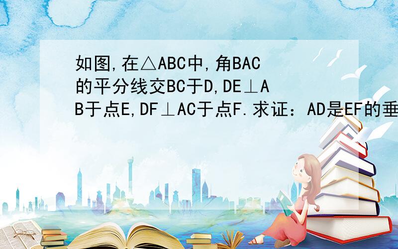 如图,在△ABC中,角BAC的平分线交BC于D,DE⊥AB于点E,DF⊥AC于点F.求证：AD是EF的垂直平分线；.