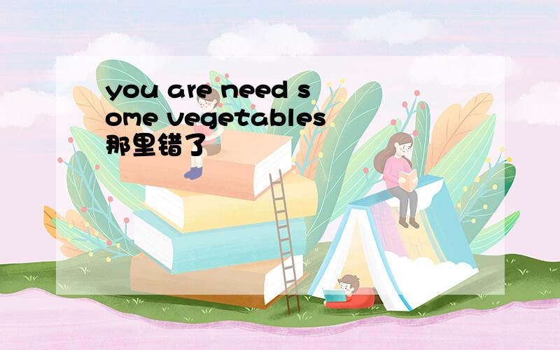 you are need some vegetables那里错了