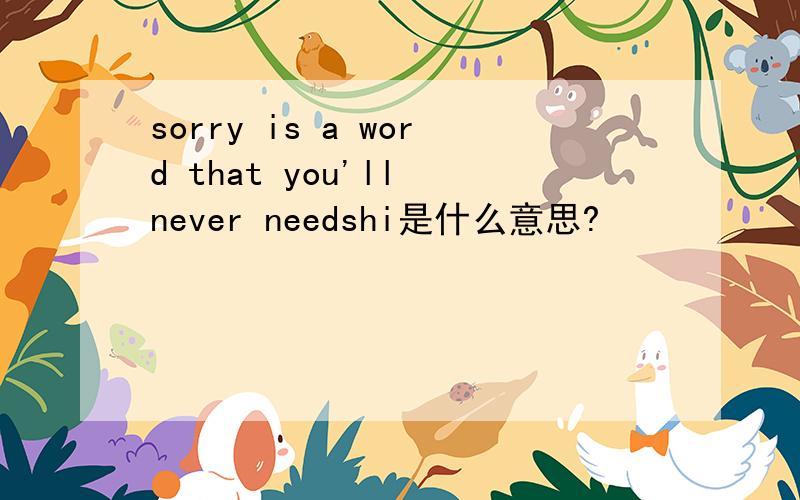 sorry is a word that you'll never needshi是什么意思?