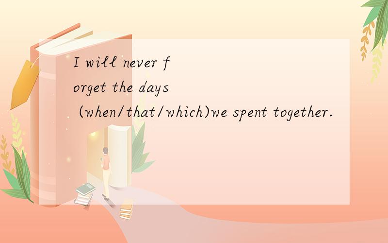 I will never forget the days (when/that/which)we spent together.