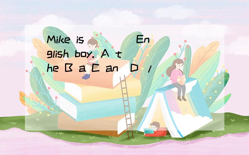 Mike is ____English boy. A the B a C an  D /