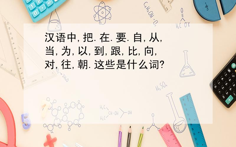 汉语中,把.在.要.自,从,当,为,以,到,跟,比,向,对,往,朝.这些是什么词?