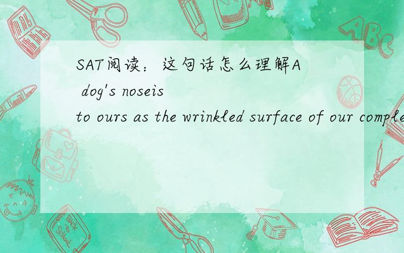 SAT阅读：这句话怎么理解A dog's noseis to ours as the wrinkled surface of our complex brain is to the surface of an egg.