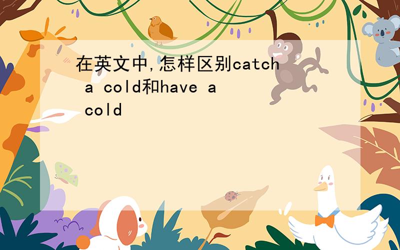 在英文中,怎样区别catch a cold和have a cold