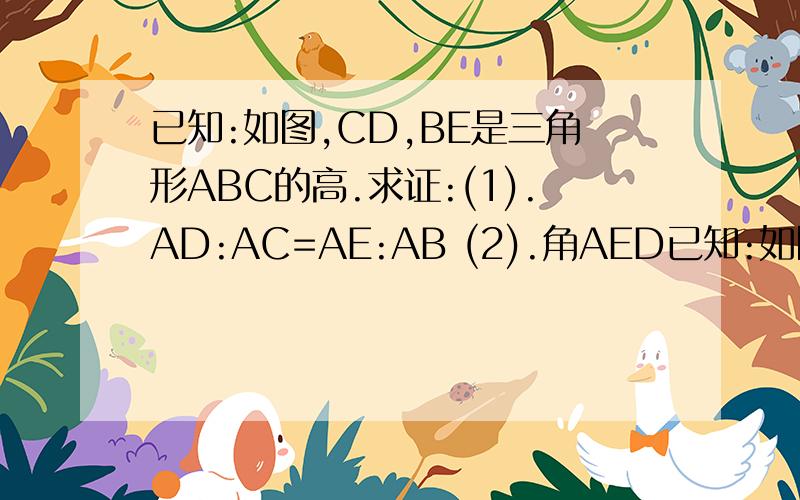 已知:如图,CD,BE是三角形ABC的高.求证:(1).AD:AC=AE:AB (2).角AED已知:如图,CD,BE是三角形ABC的高.求证:(1).AD:AC=AE:AB (2).角AED=角ABC