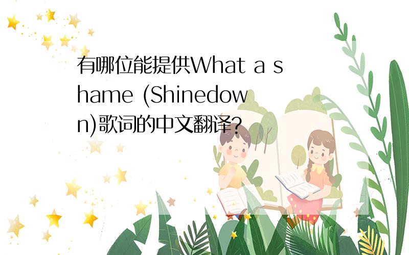 有哪位能提供What a shame (Shinedown)歌词的中文翻译?