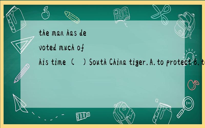 the man has devoted much of his time ( )South China tiger.A.to protect B.to protecting C.protected D.protects